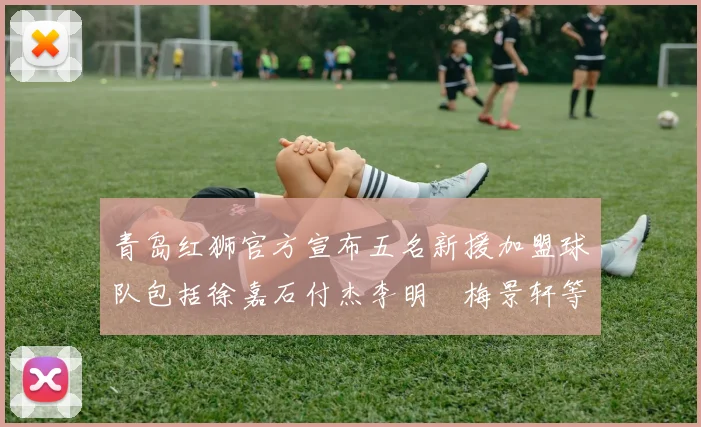 青岛红狮官方宣布五名新援加盟球队包括徐嘉石付杰李明璠梅景轩等球员